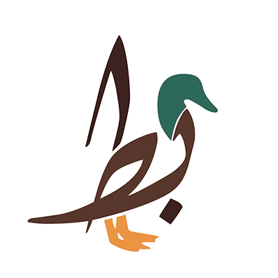 duck | بط