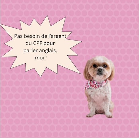 Argent du CPF pour le Linguaskill