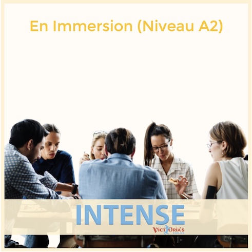 5 semaines en immersion, niv. A2 V 2021 - Cours d'anglais